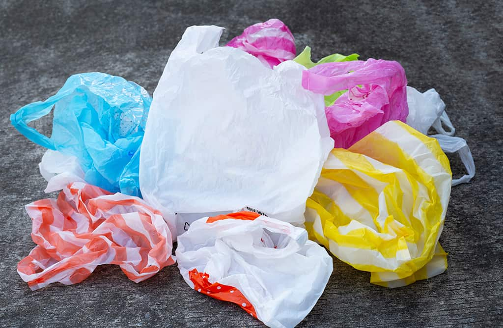 Почему пластиковые пакеты — это вредно? Как их перерабатывают во всем мире?