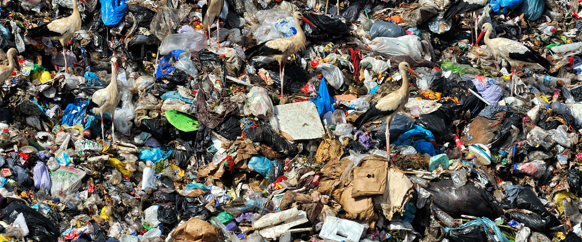 Реформа об переработке и утилизации отходов производства и потребления 2019 года